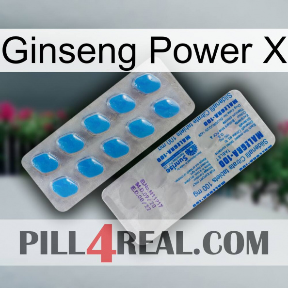 Ginseng Power X new15.jpg